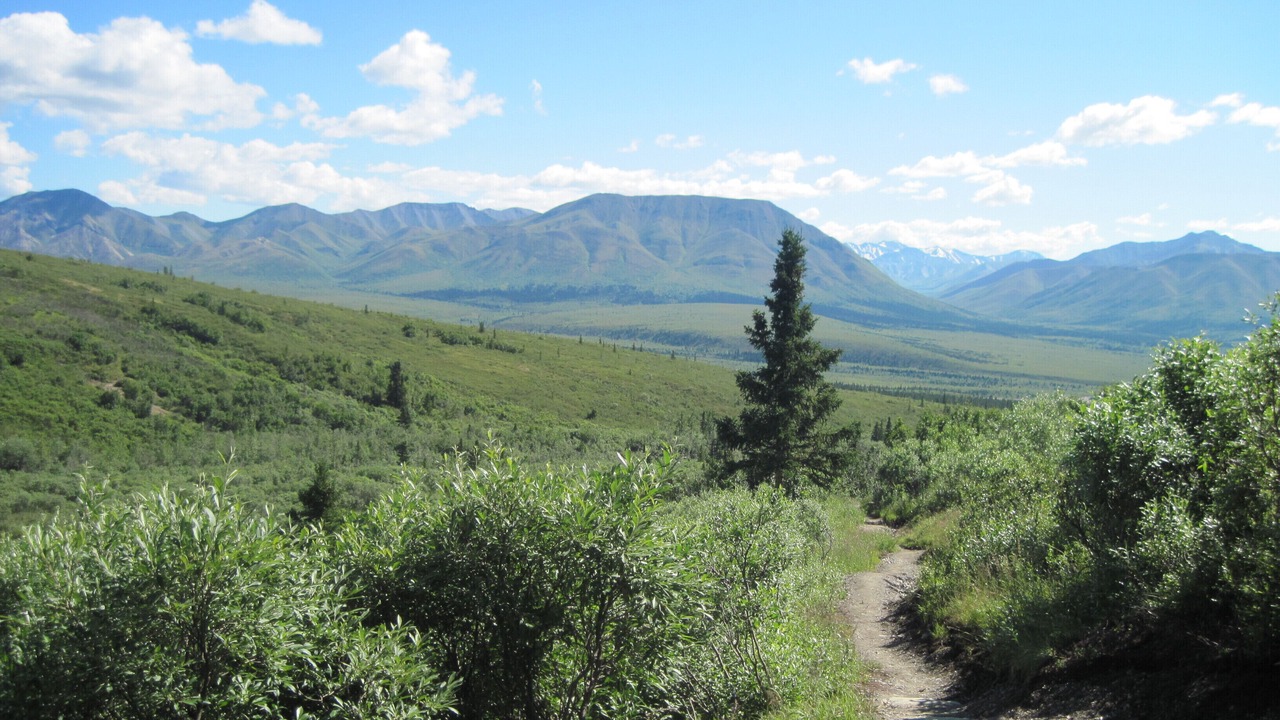 Photo of Outdoor in Healy