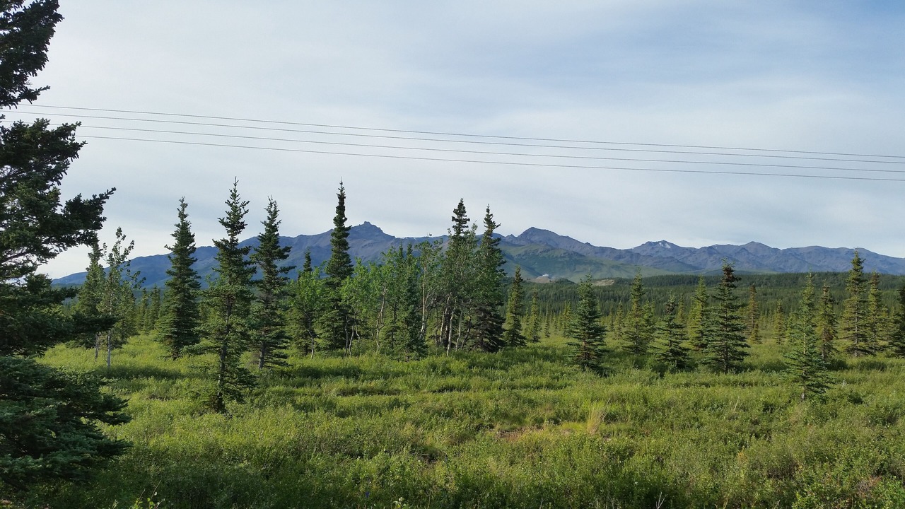 Photo of Others in Healy