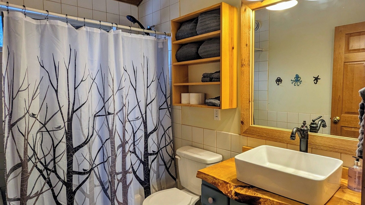 Photo of Bathroom in Homer