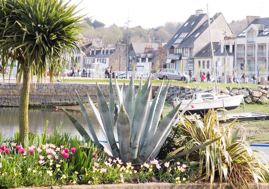 Photo of Outdoor in Plerin