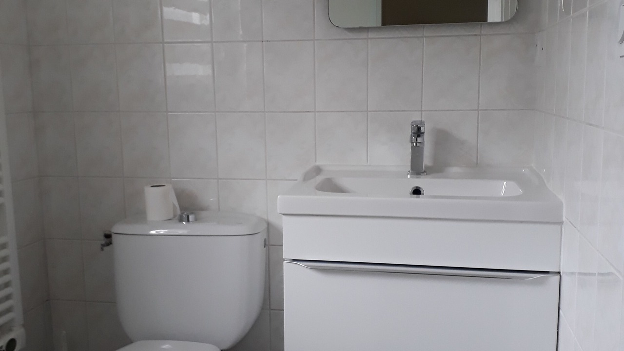 Photo of Bathroom in Plerin