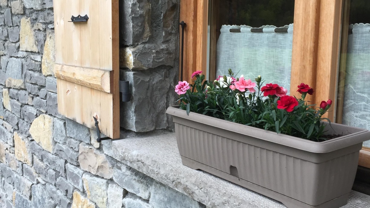 Photo of Outdoor in Samoens