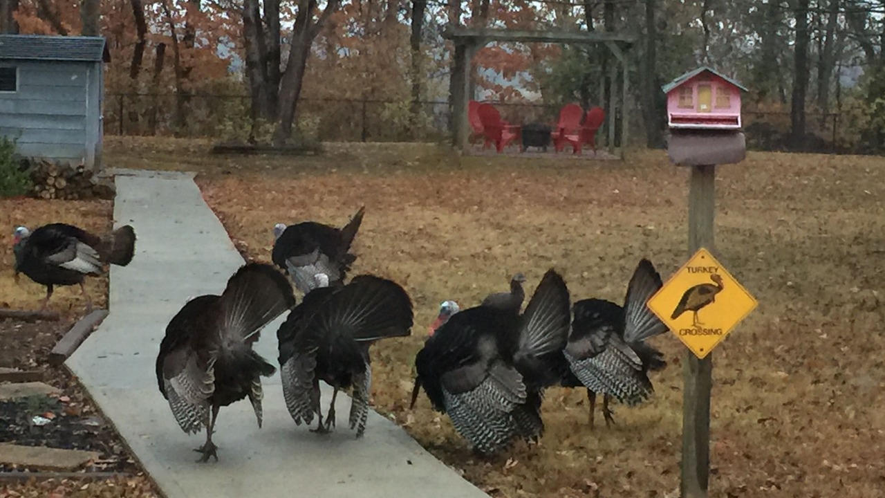Photo of Others in Donelson