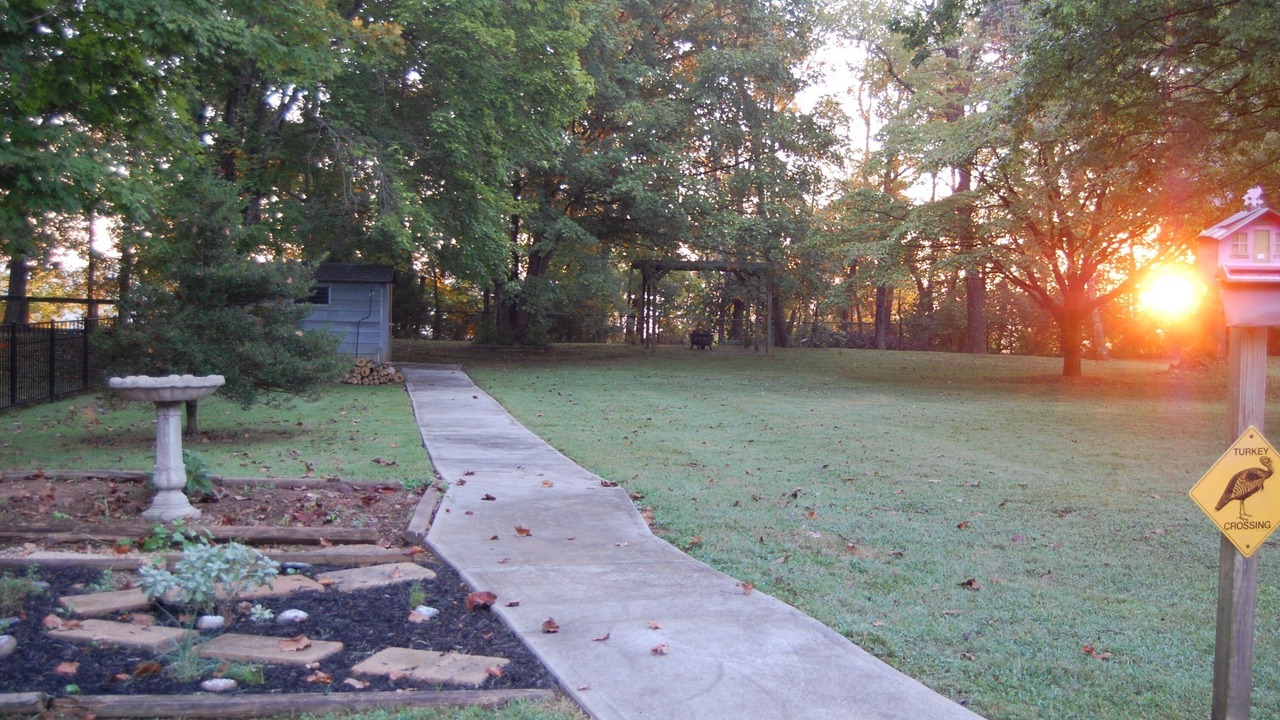 Photo of Outdoor in Donelson