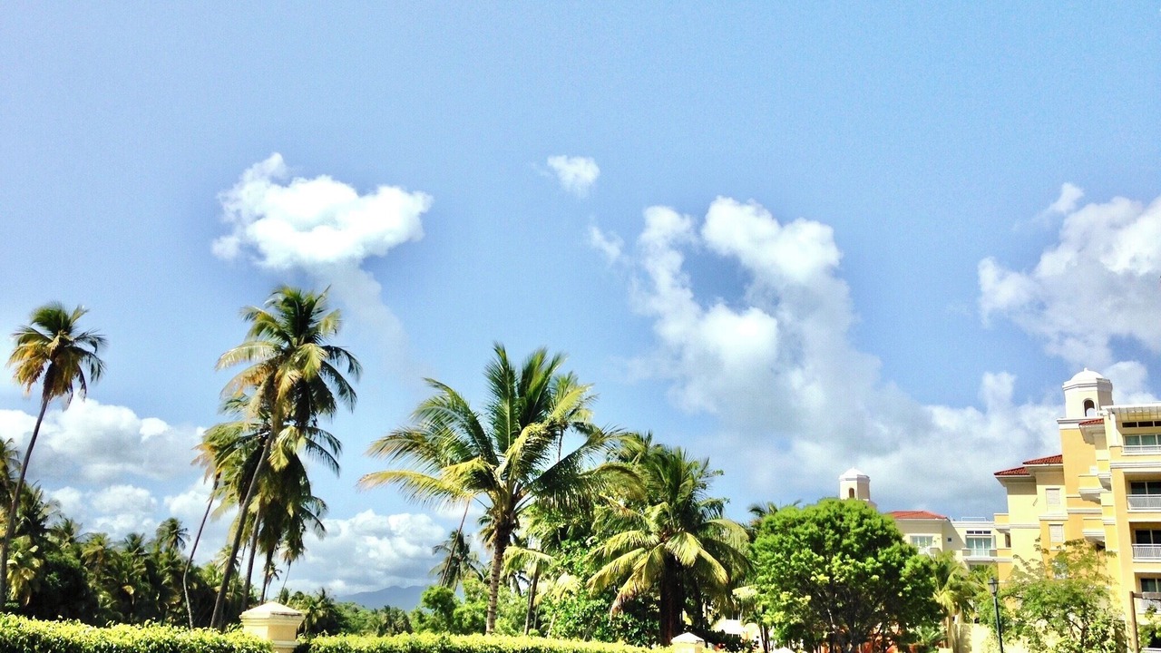 Photo of Outdoor in Candelero Abajo