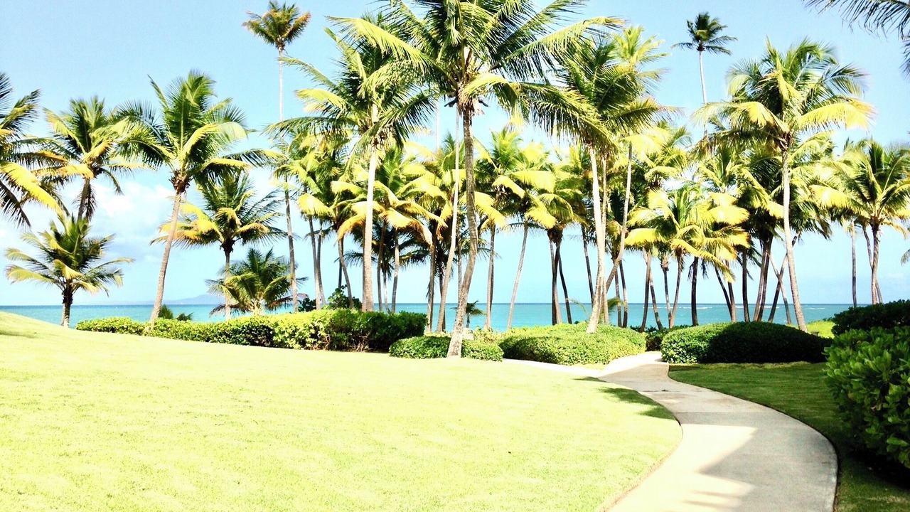 Photo of Outdoor in Candelero Abajo