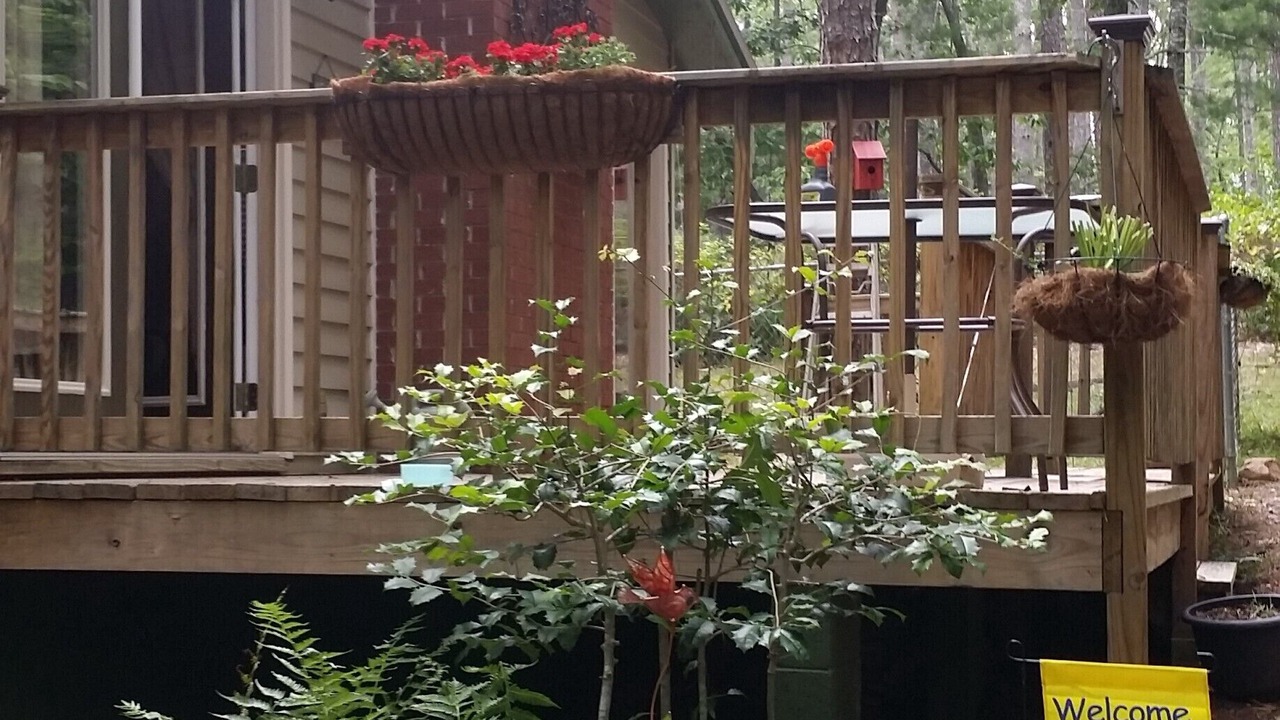 Photo of Outdoor in Blairsville