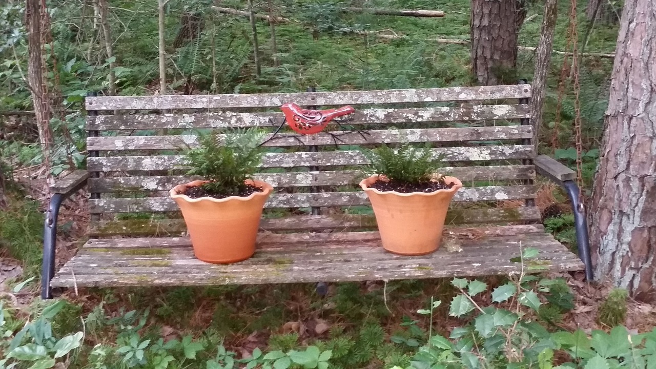 Photo of Outdoor in Blairsville