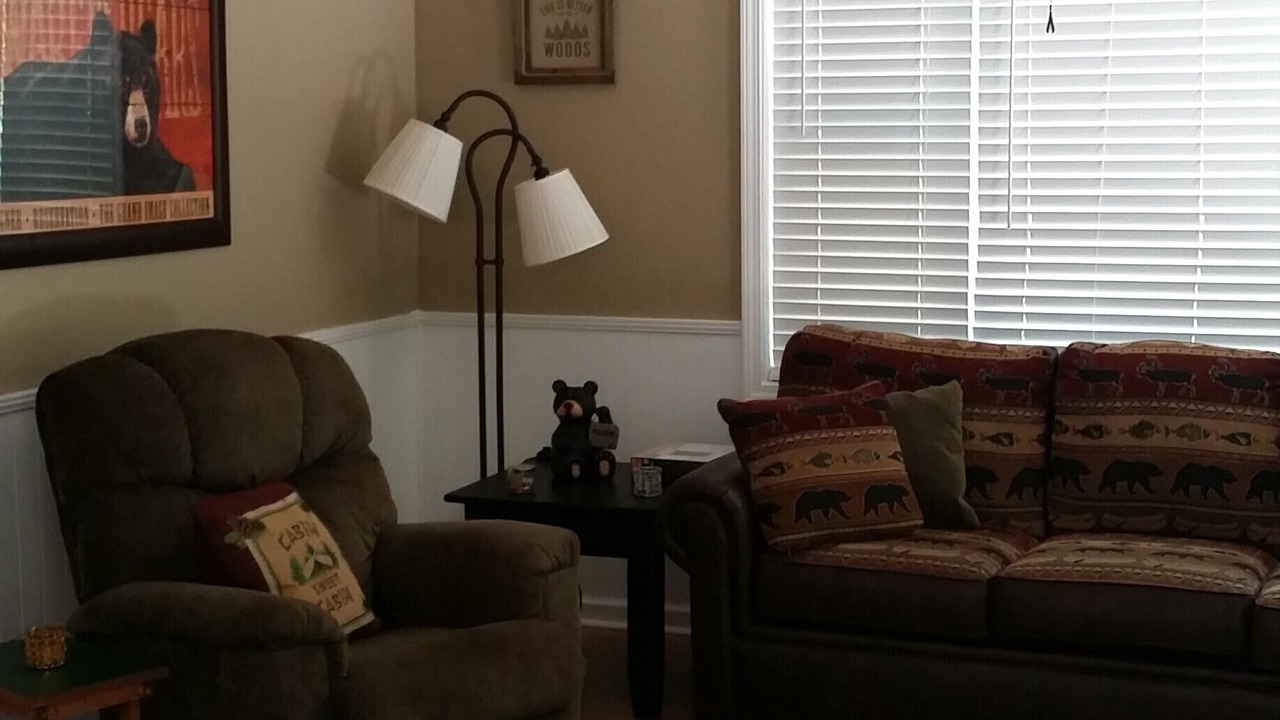Photo of Livingroom in Blairsville