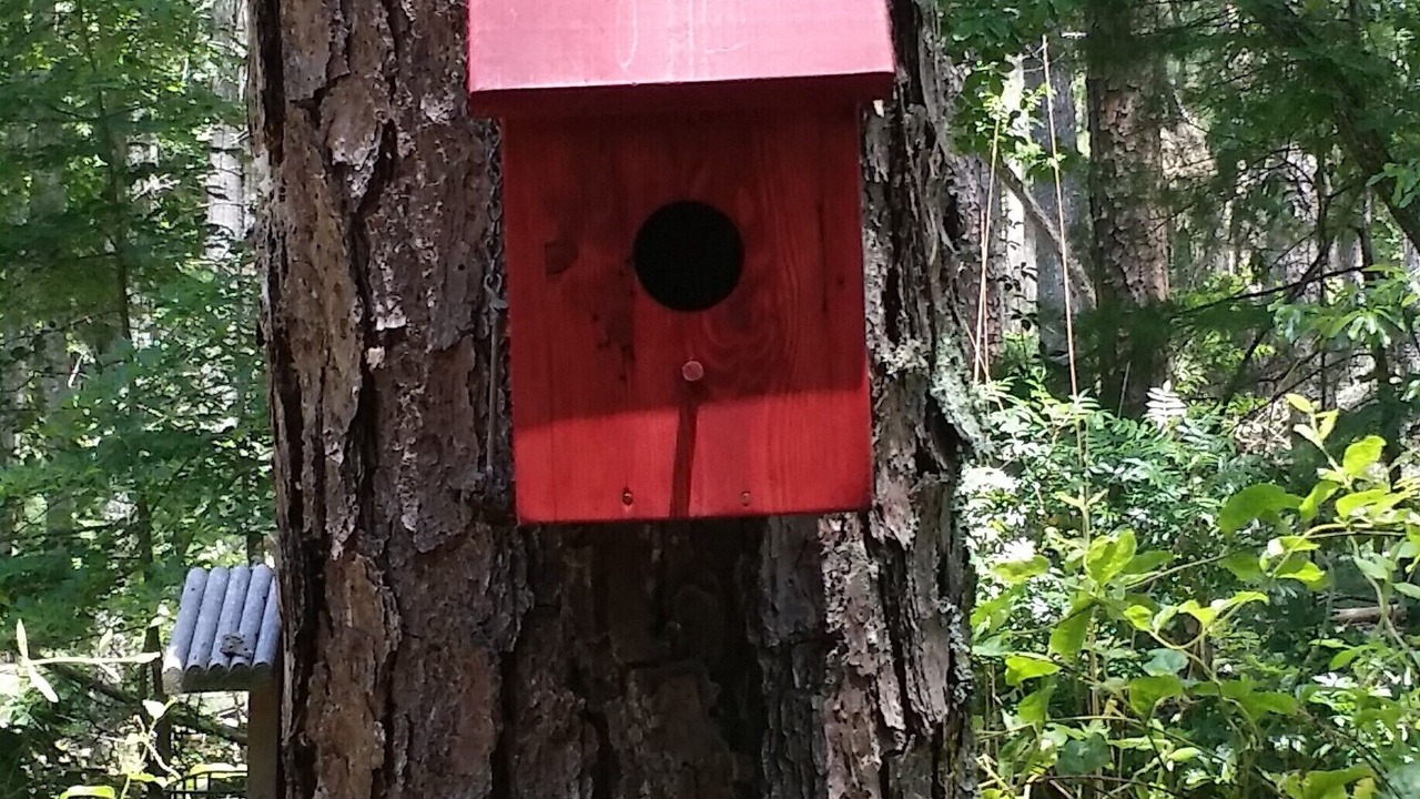 Photo of Outdoor in Blairsville