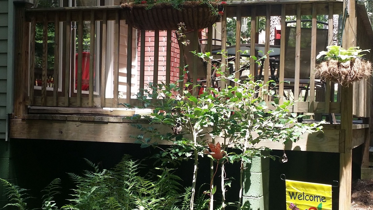 Photo of Outdoor in Blairsville