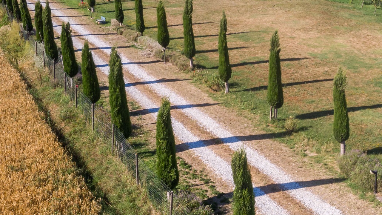 Photo of Outdoor in Latignano