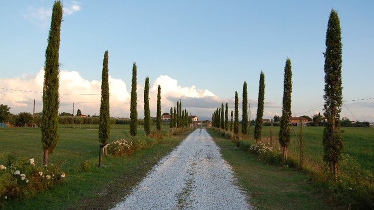Photo of Outdoor in Latignano