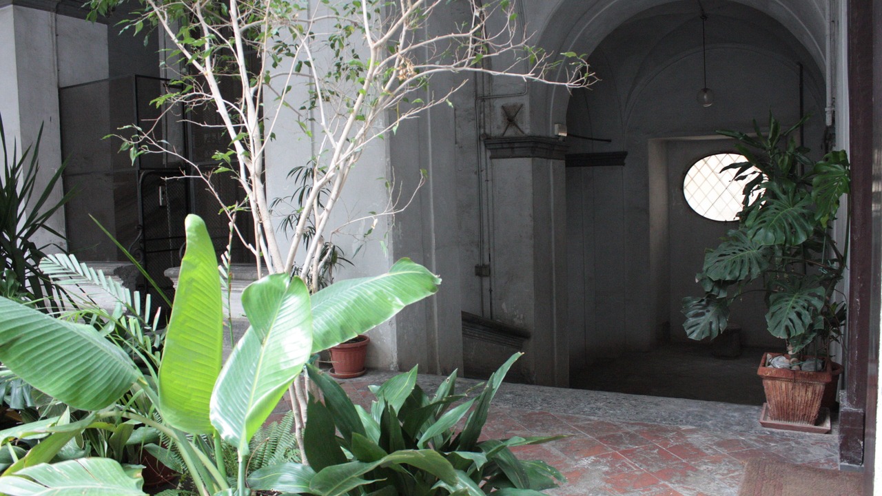 Photo of Outdoor in Naples City Centre