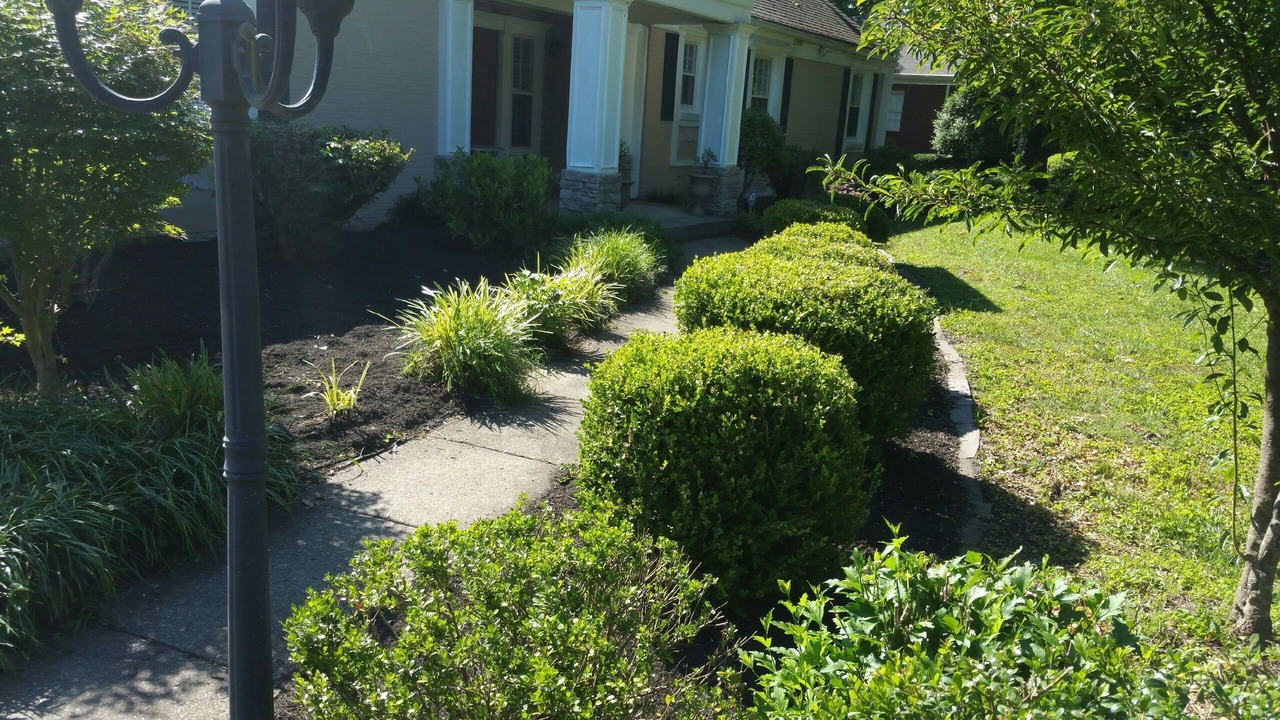 Photo of Outdoor in Green Hills