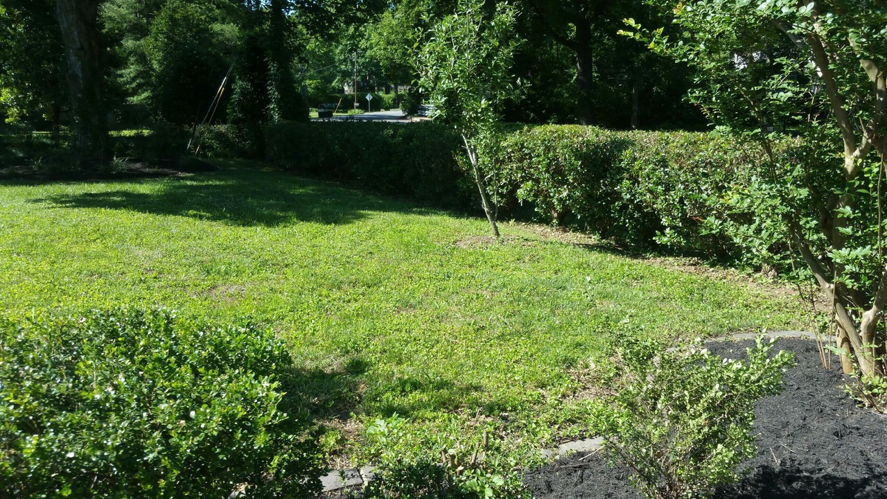 Photo of Outdoor in Green Hills