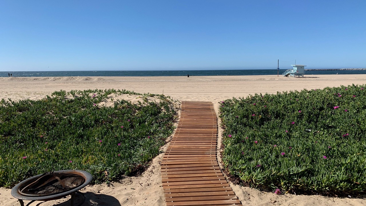 Photo of Others in Playa Del Rey