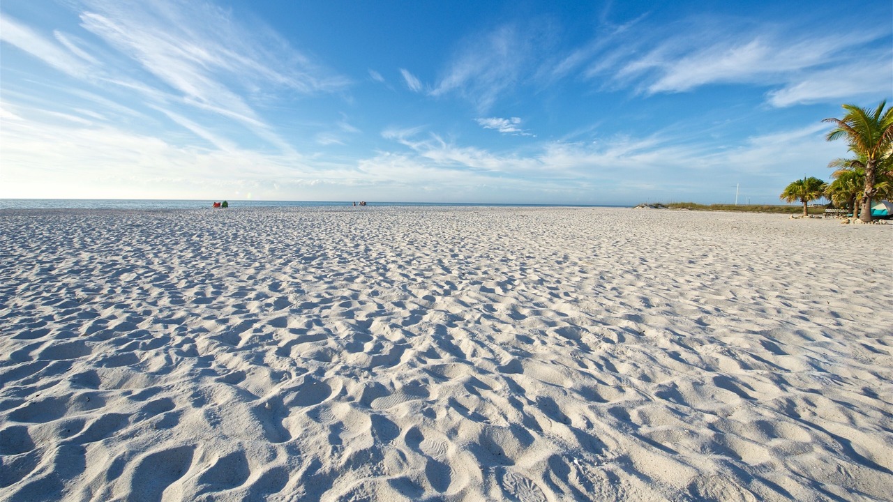 Photo of Others in Clearwater Beach