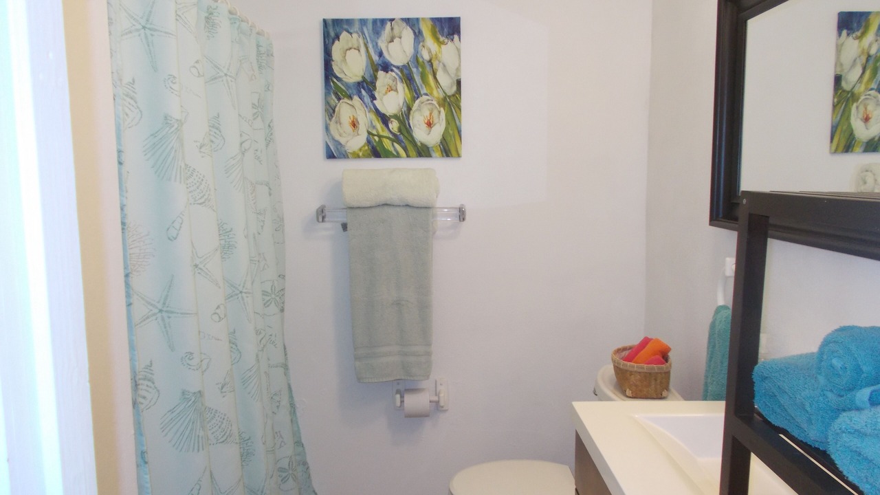 Photo of Bathroom in Esperanza