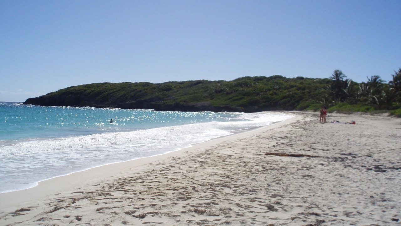 Photo of Others in Esperanza