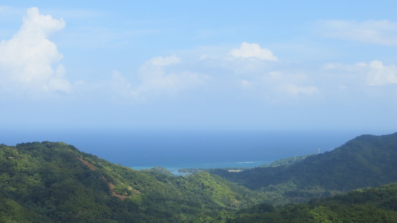 Photo of Others in Lucea