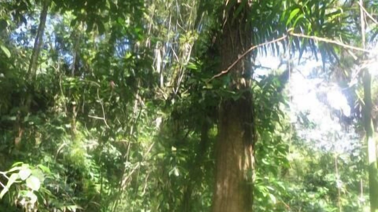 Photo of Others in Lucea