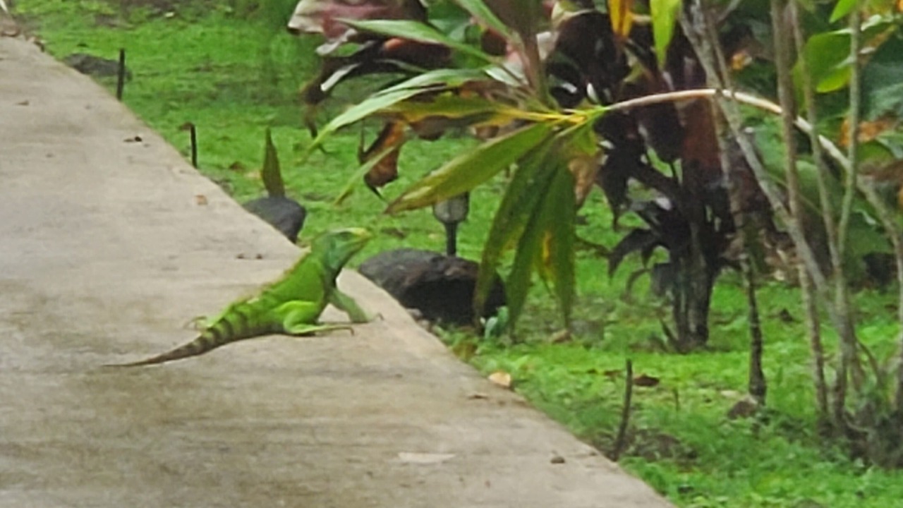 Photo of Others in Jimenez