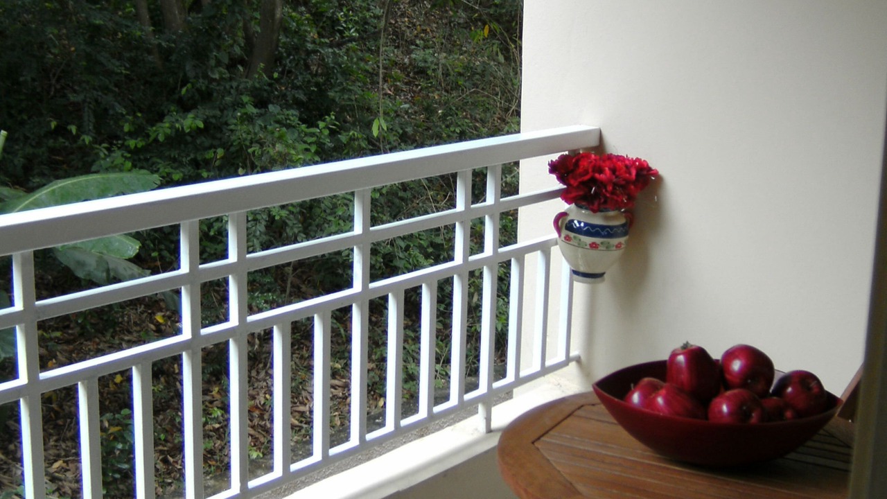 Photo of Patio Balcony in Florencio