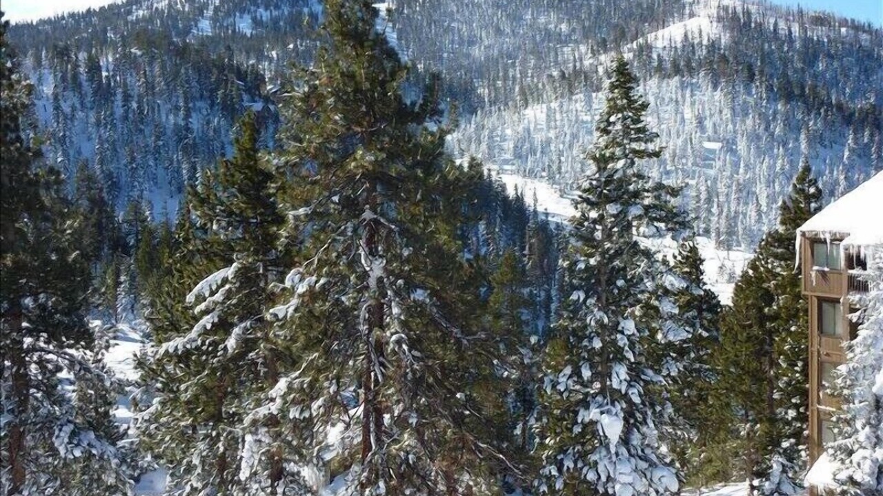 Photo of Others in Tahoe Village