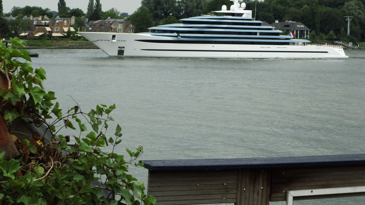 Photo of Others in Dordrecht