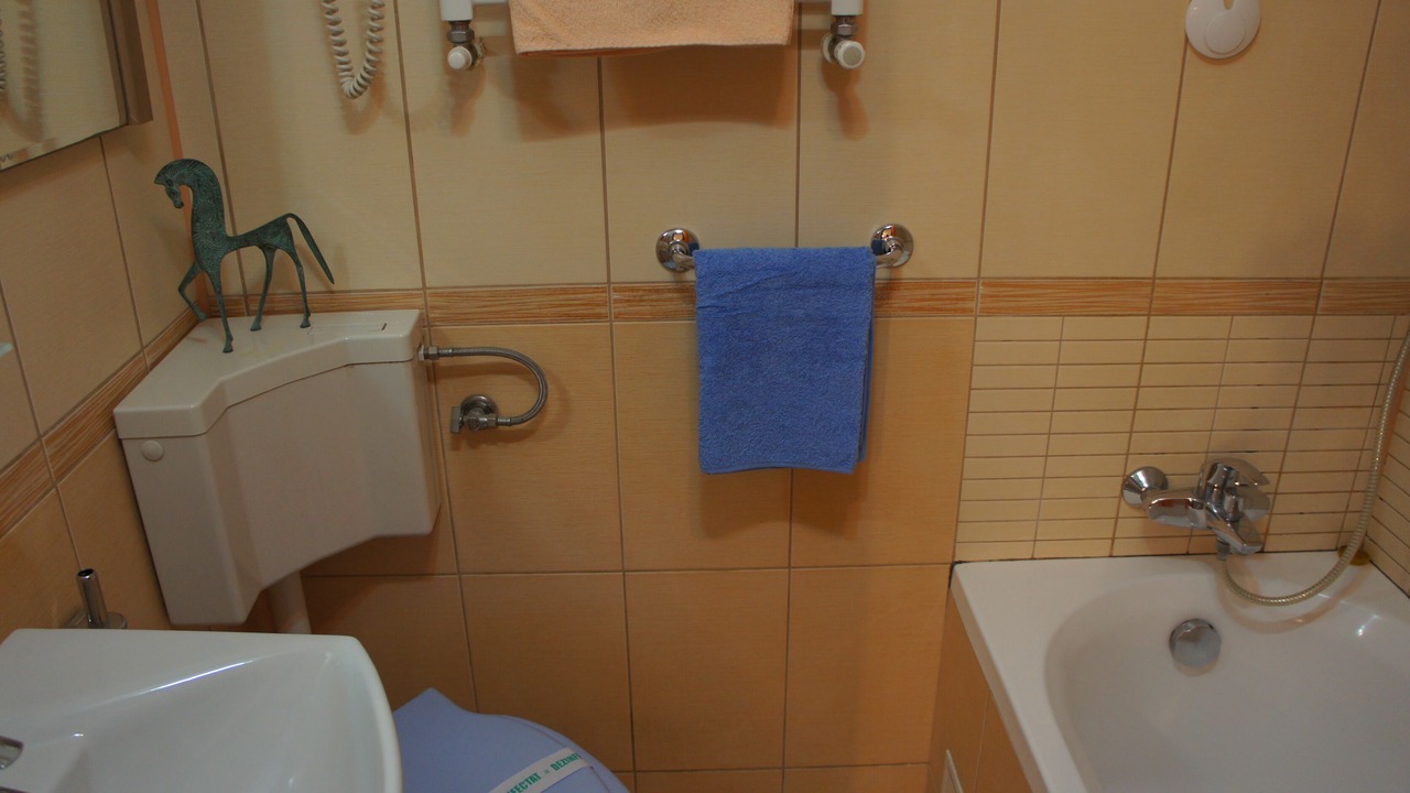 Photo of Bathroom in Bucharest City-Centre