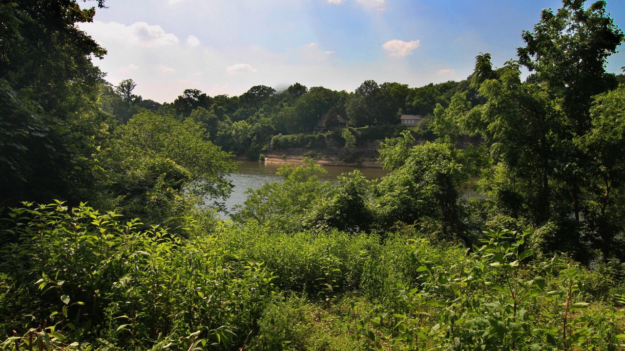 Photo of Outdoor in Nashville
