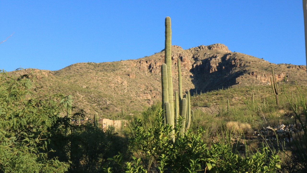 Photo of Others in Milagrosa Hills