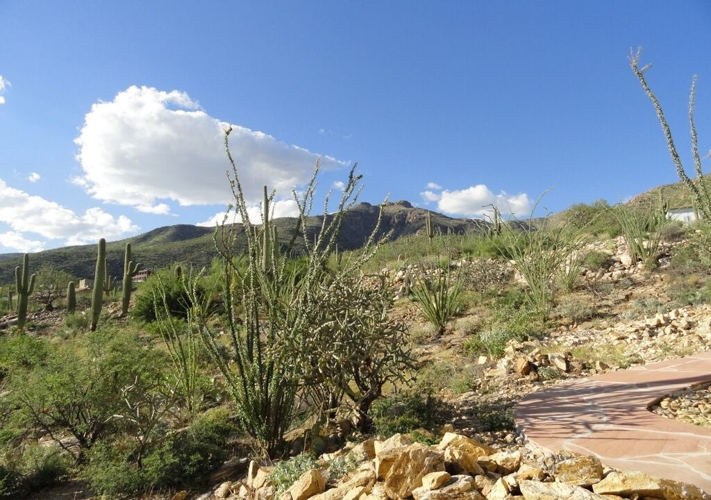 Photo of Others in Milagrosa Hills