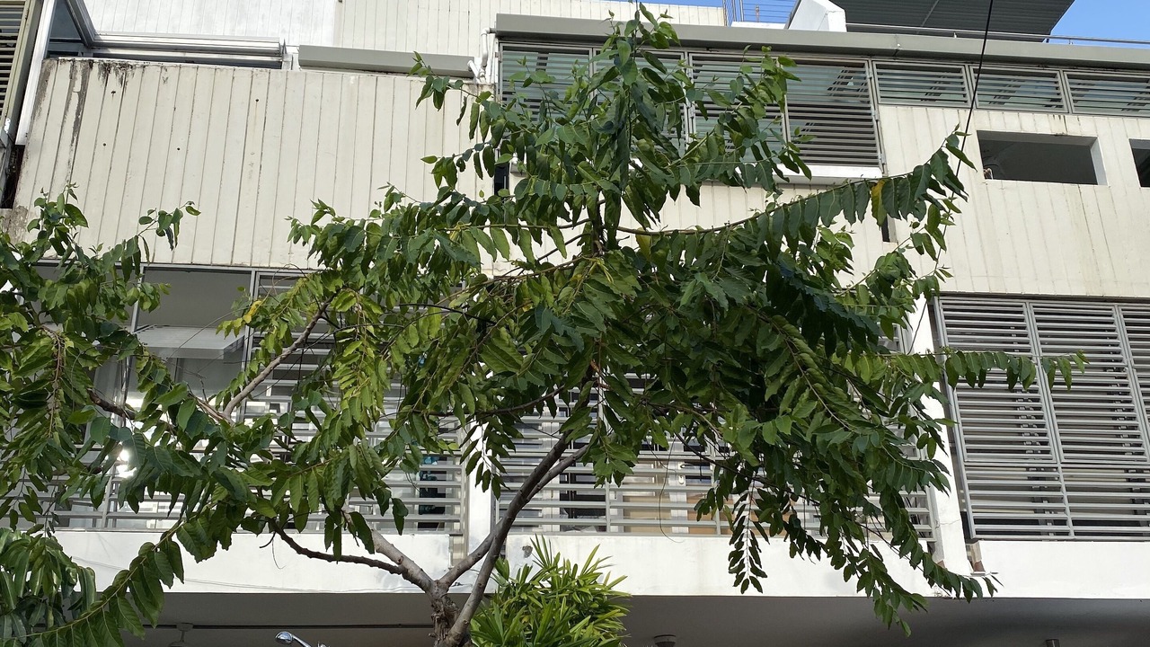 Photo of Outdoor in Parque