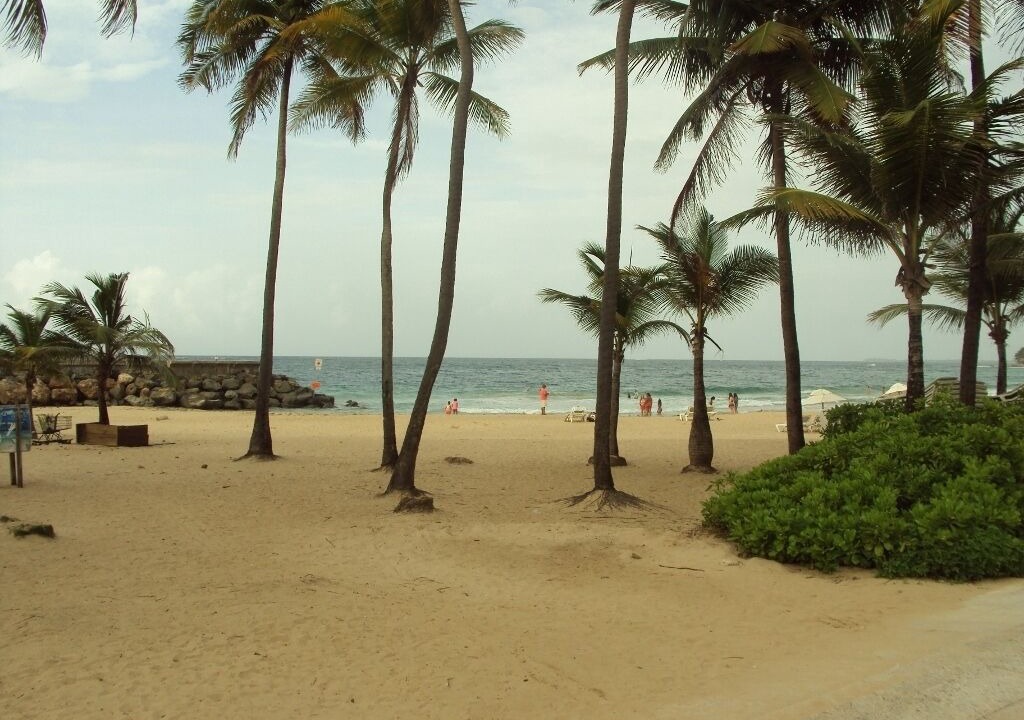 Photo of Others in Condado