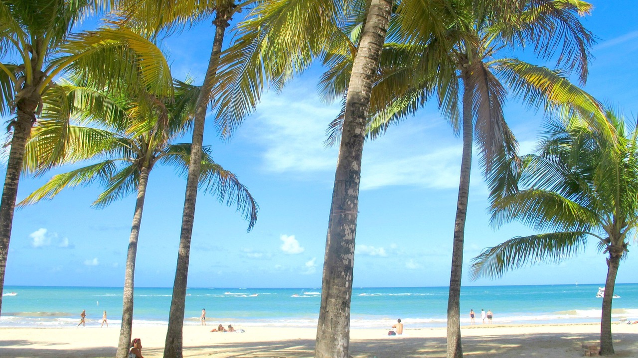 Photo of Others in Isla Verde