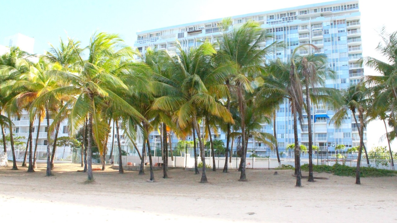 Photo of Others in Isla Verde