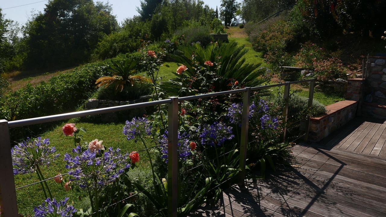 Photo of Outdoor in Capannori