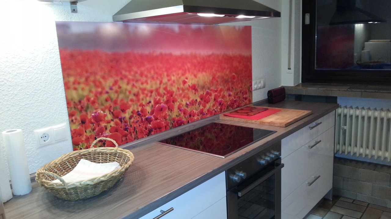 Photo of Kitchen in Ehrenbreitstein