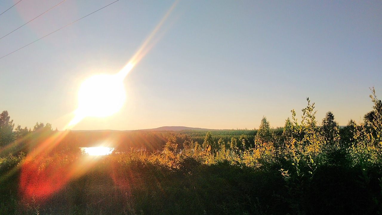 Photo of Others in Torsby O