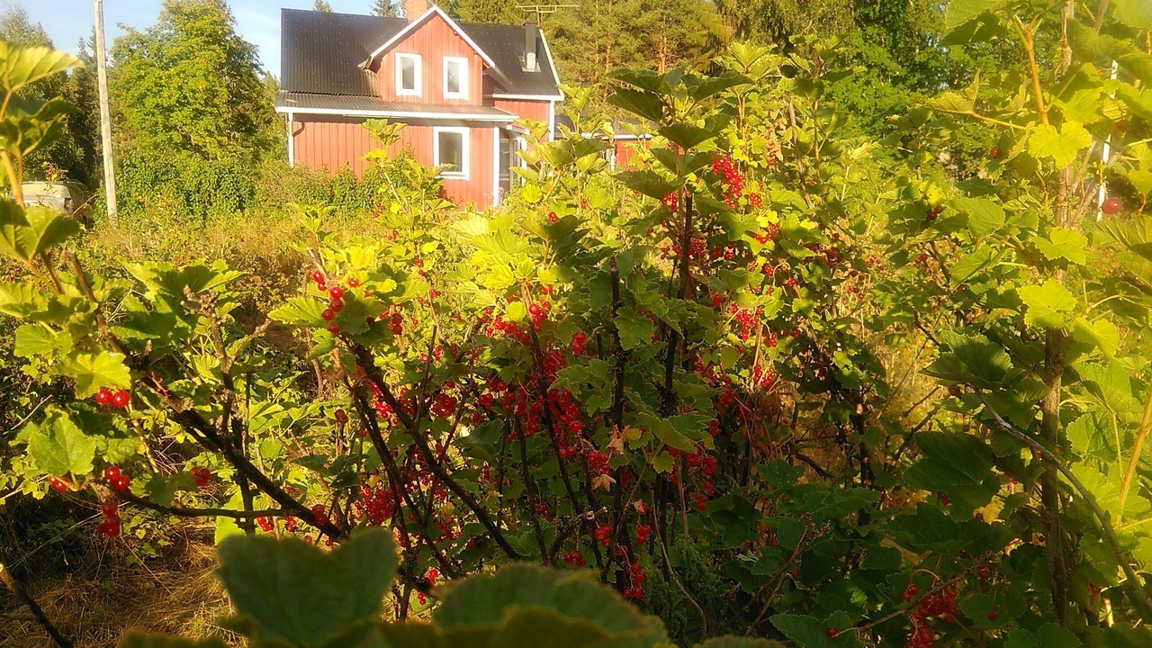 Photo of Outdoor in Torsby O