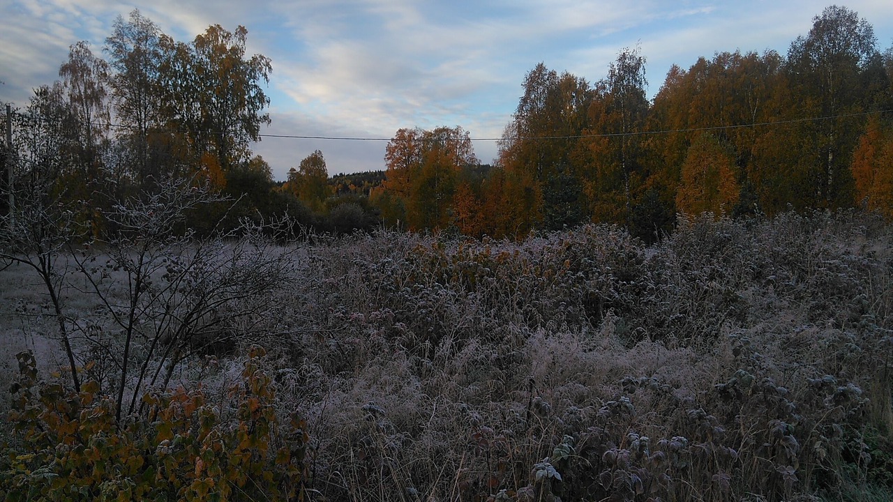 Photo of Outdoor in Torsby O