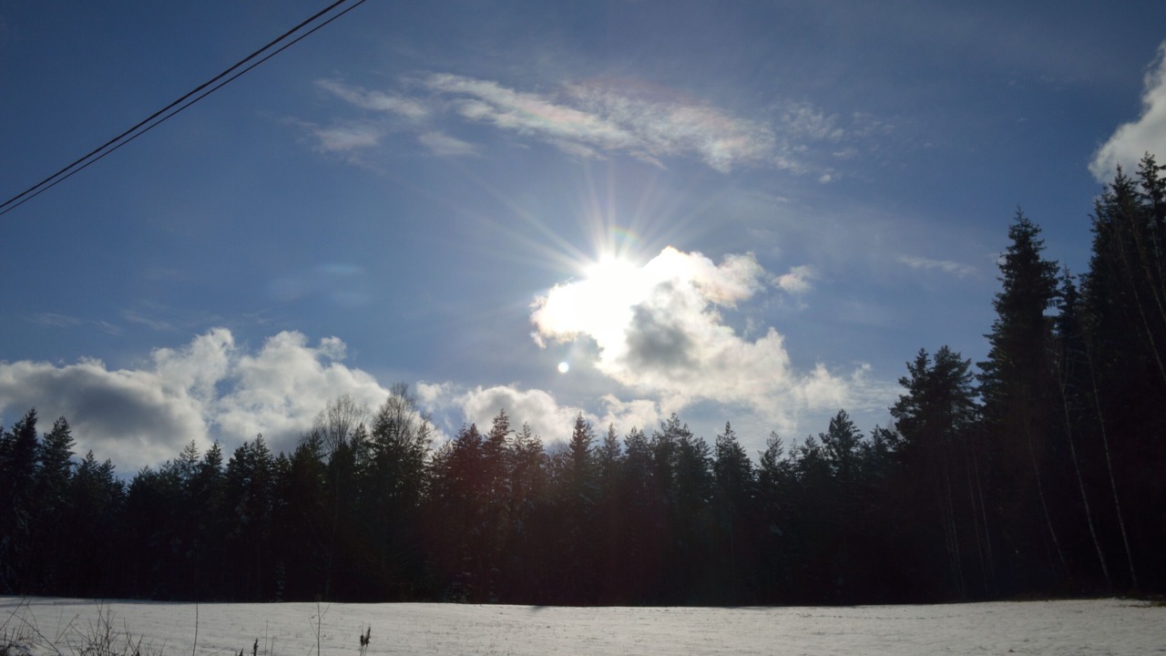 Photo of Others in Torsby O