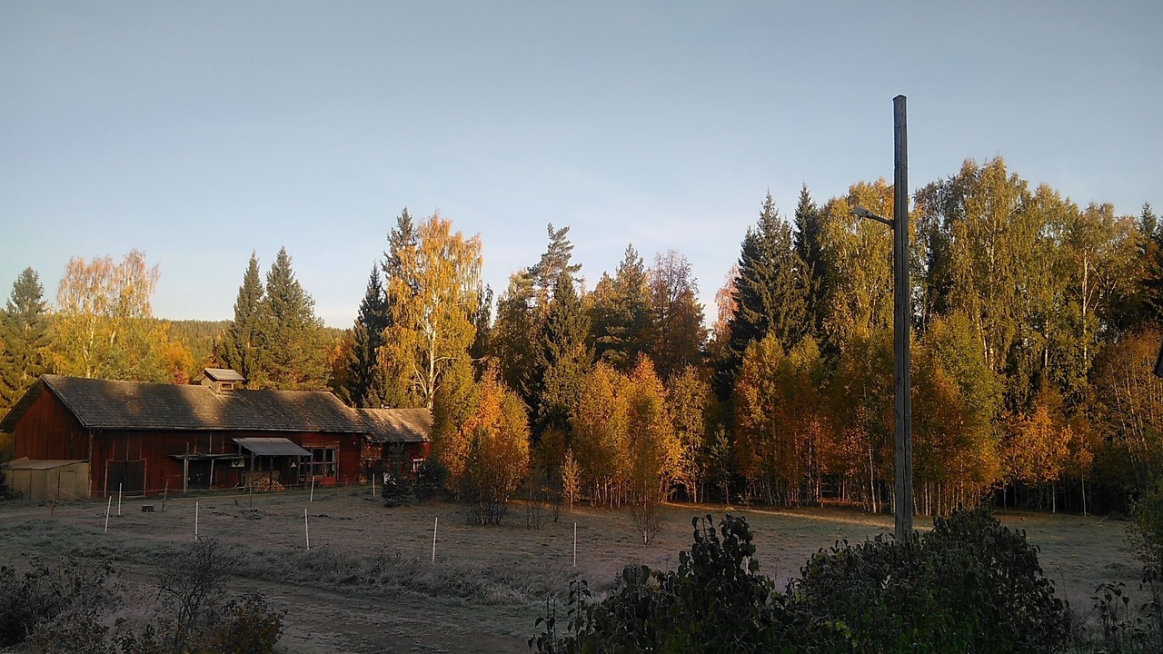 Photo of Outdoor in Torsby O