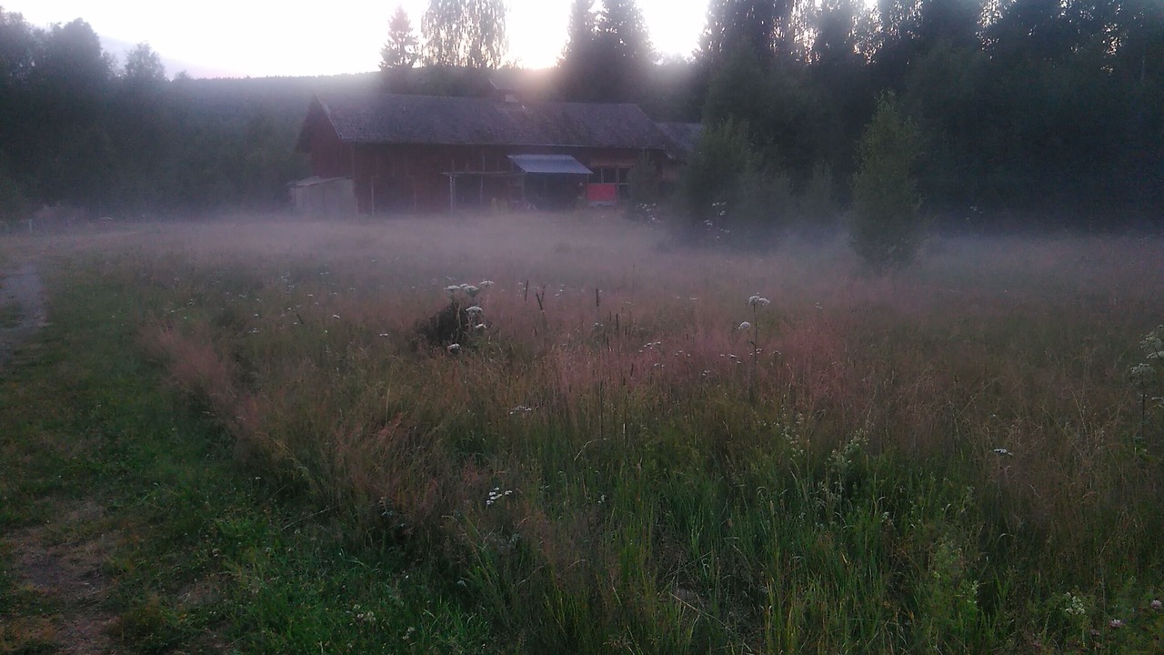 Photo of Outdoor in Torsby O