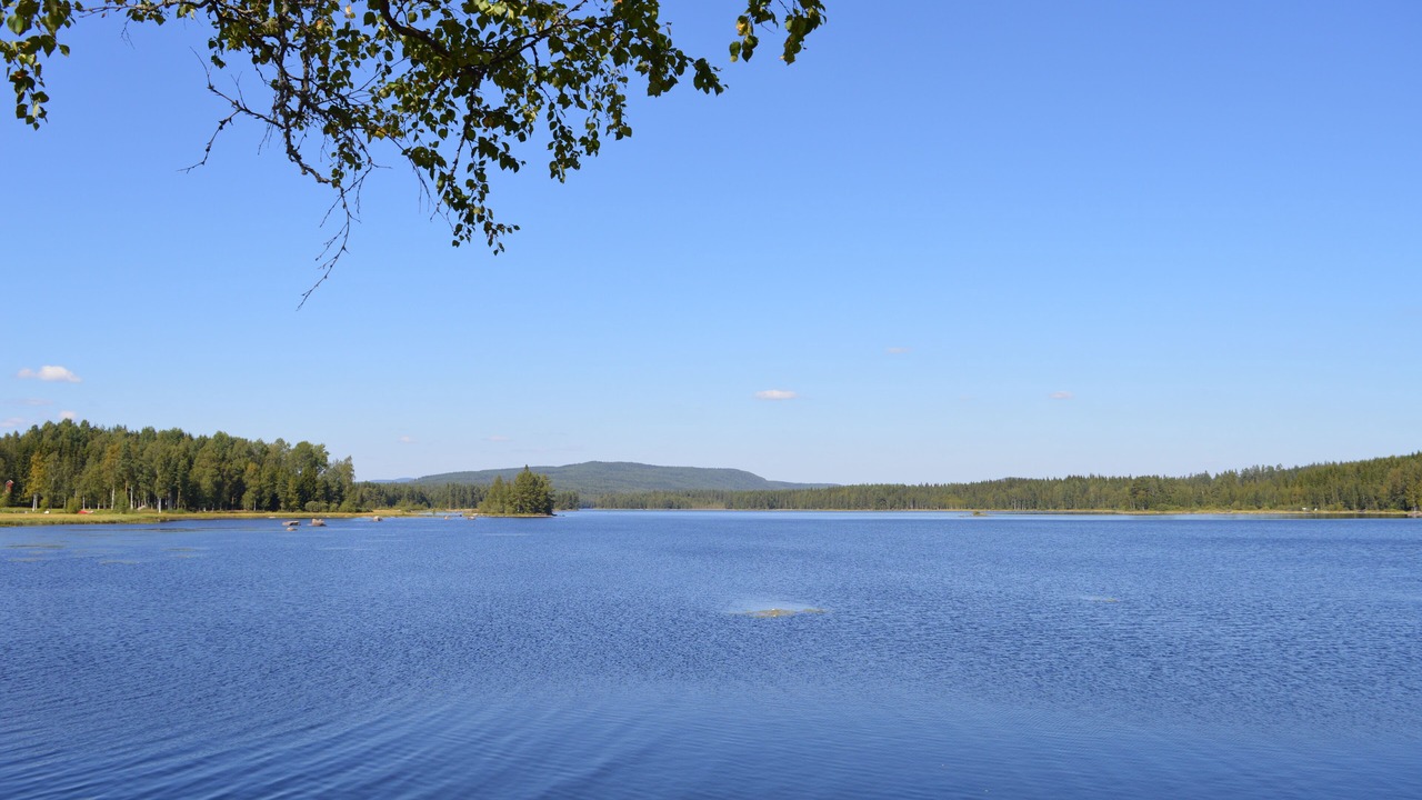 Photo of Others in Torsby O