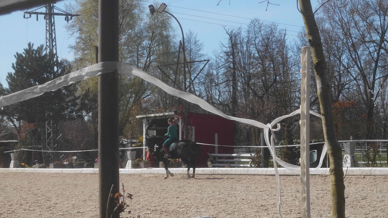 Photo of Outdoor in Billigheim-Ingenheim