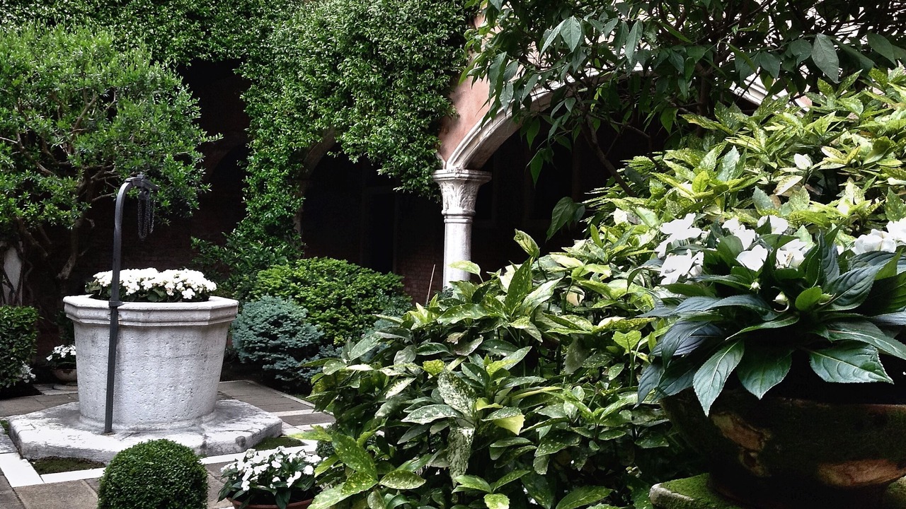 Photo of Outdoor in Castello