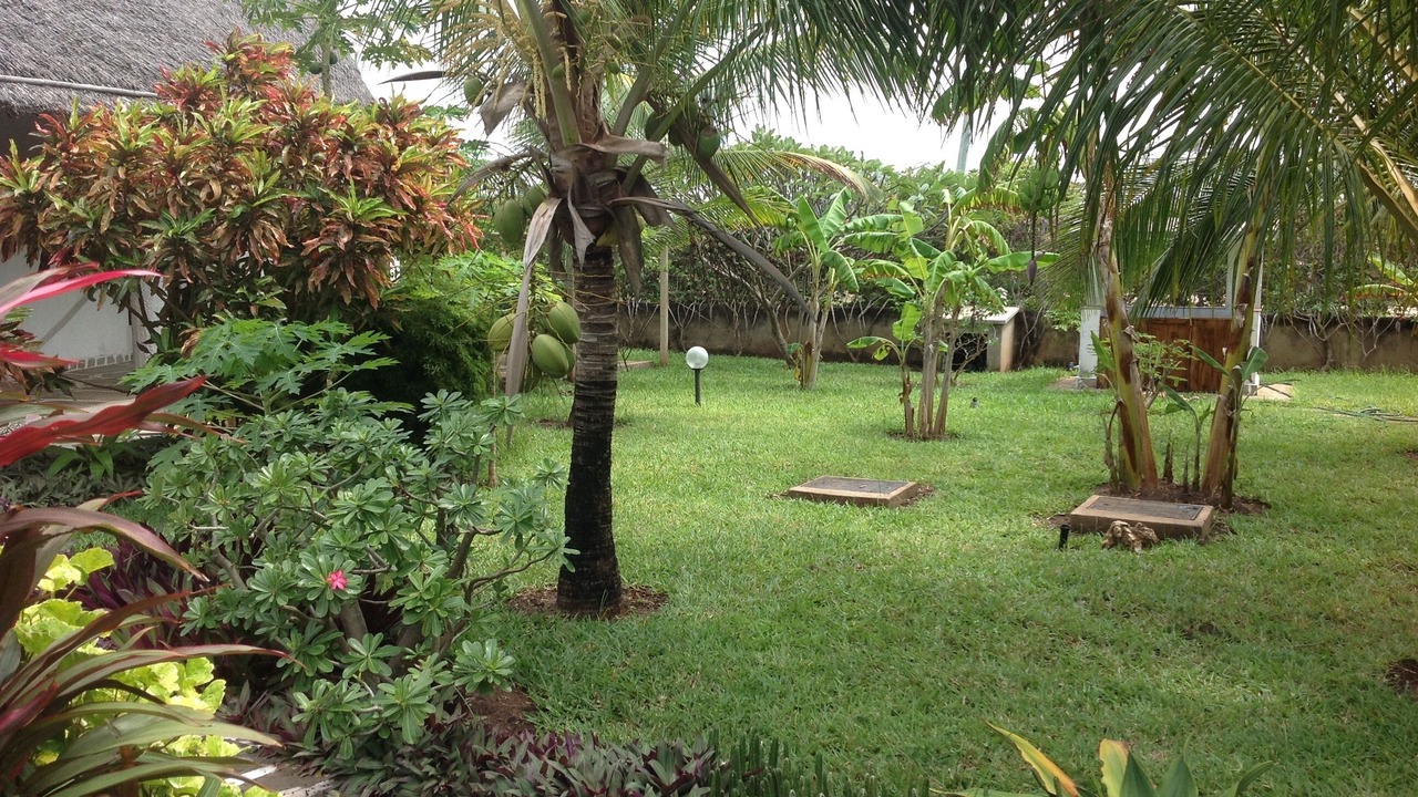 Photo of Outdoor in Watamu